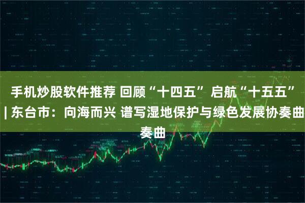 手机炒股软件推荐 回顾“十四五” 启航“十五五” | 东台市：向海而兴 谱写湿地保护与绿色发展协奏曲