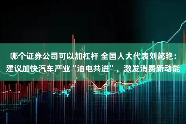 哪个证券公司可以加杠杆 全国人大代表刘懿艳：建议加快汽车产业“油电共进”，激发消费新动能